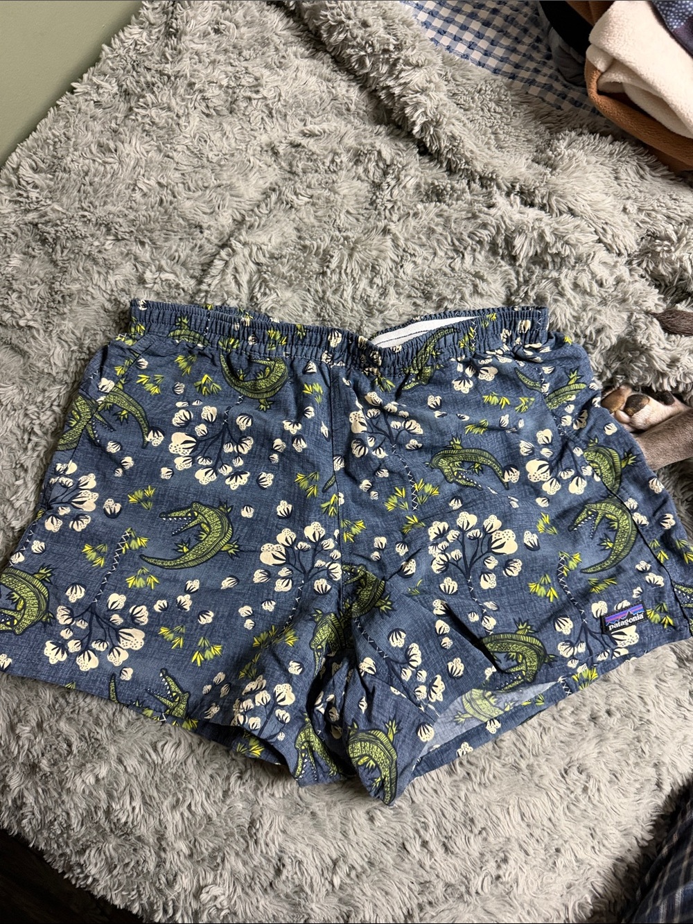 Patagonia Blue Floral & Green Fish Print Women’s Shorts
